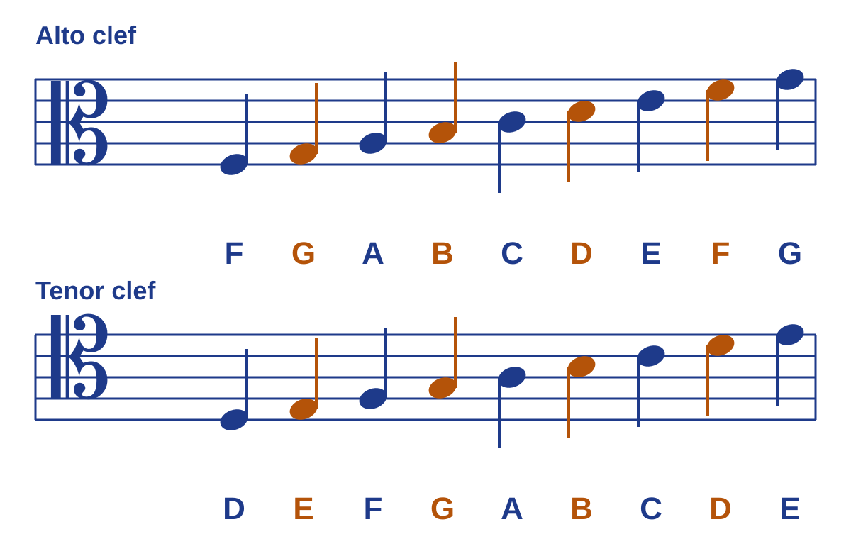Alto clef staff with the notes F, G, A, B, C, D, E, F, G and tenor clef staff with the notes D, E, F, G, A, B, C, D, E, each labelled from the bottom line to the top line
